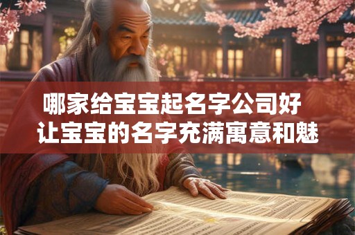 哪家给宝宝起名字公司好  让宝宝的名字充满寓意和魅力！