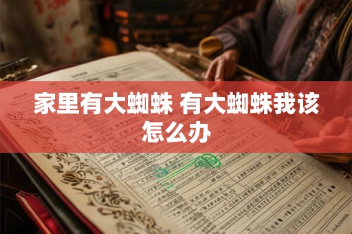 家里有大蜘蛛 有大蜘蛛我该怎么办