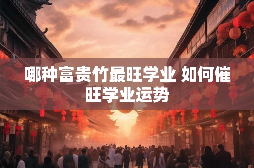 哪种富贵竹最旺学业 如何催旺学业运势