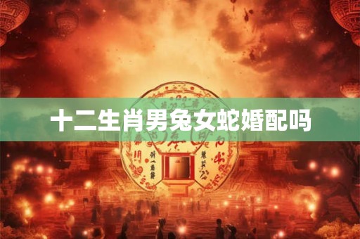 十二生肖男兔女蛇婚配吗