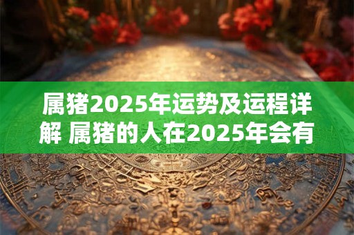属猪2025年运势及运程详解 属猪的人在2025年会有怎样的运势和运程详解