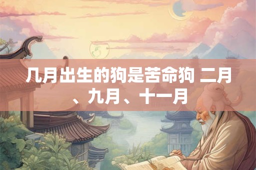 几月出生的狗是苦命狗 二月、九月、十一月