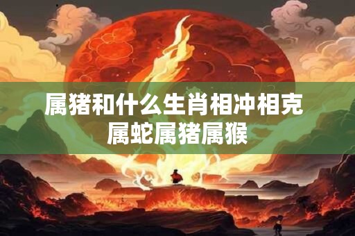 属猪和什么生肖相冲相克 属蛇属猪属猴