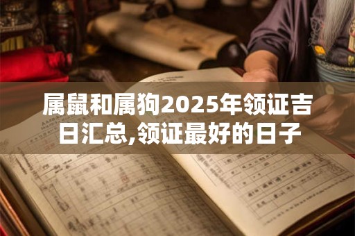 属鼠和属狗2025年领证吉日汇总,领证最好的日子