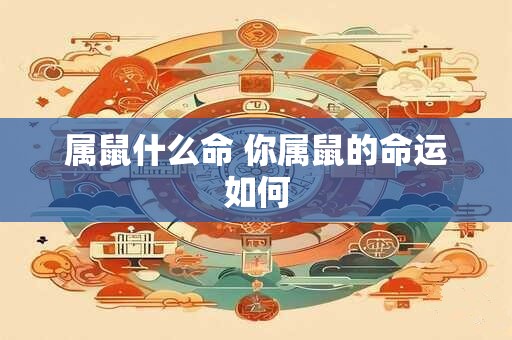 属鼠什么命 你属鼠的命运如何