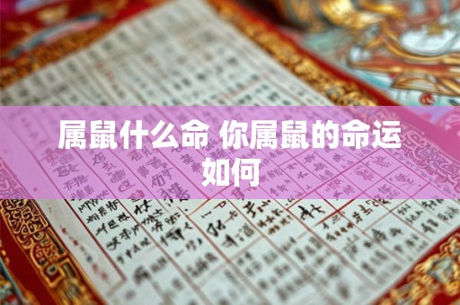 属鼠什么命 你属鼠的命运如何