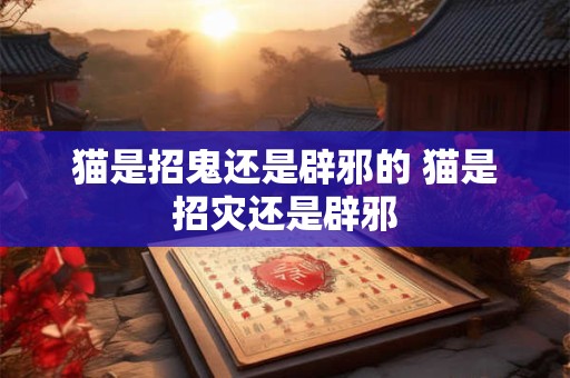 猫是招鬼还是辟邪的 猫是招灾还是辟邪