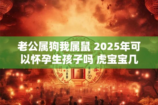 老公属狗我属鼠 2025年可以怀孕生孩子吗 虎宝宝几月出生好