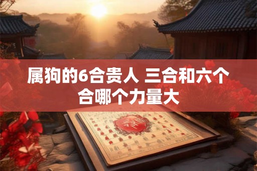 属狗的6合贵人 三合和六个合哪个力量大
