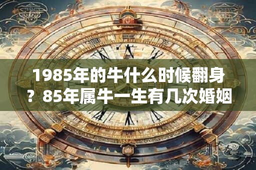 1985年的牛什么时候翻身？85年属牛一生有几次婚姻？