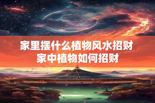 家里摆什么植物风水招财 家中植物如何招财