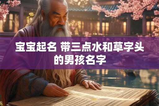 宝宝起名 带三点水和草字头的男孩名字