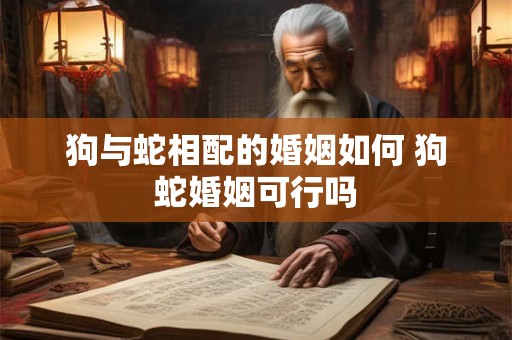 狗与蛇相配的婚姻如何 狗蛇婚姻可行吗