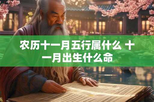 农历十一月五行属什么 十一月出生什么命