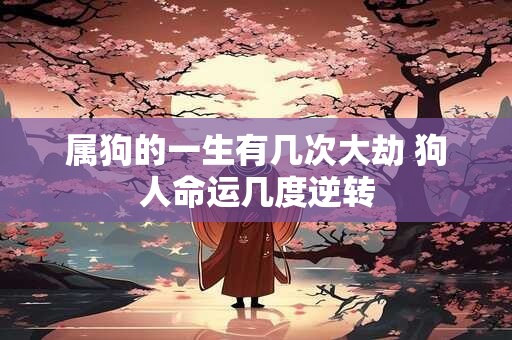 属狗的一生有几次大劫 狗人命运几度逆转
