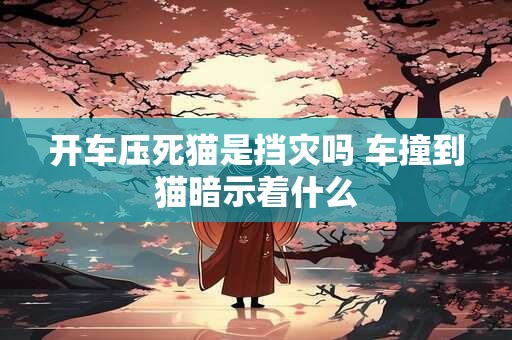 开车压死猫是挡灾吗 车撞到猫暗示着什么