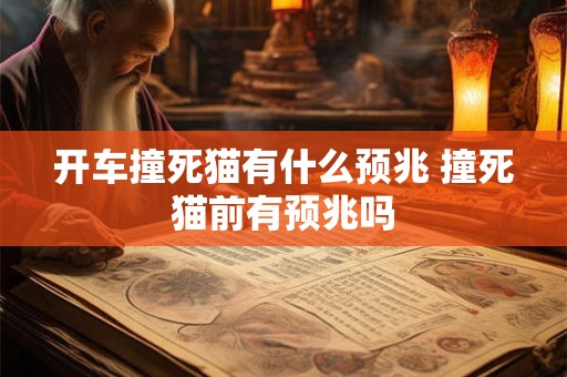 开车撞死猫有什么预兆 撞死猫前有预兆吗