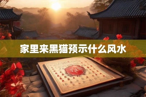 家里来黑猫预示什么风水
