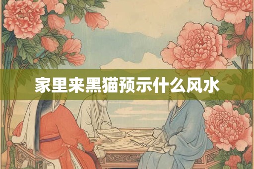 家里来黑猫预示什么风水
