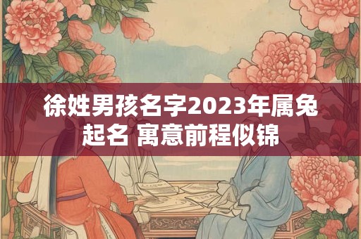徐姓男孩名字2023年属兔起名 寓意前程似锦