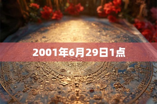 2001年6月29日1点