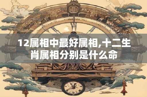 12属相中最好属相,十二生肖属相分别是什么命