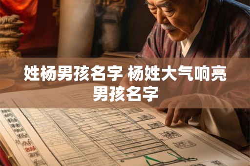 姓杨男孩名字 杨姓大气响亮男孩名字