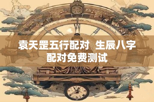 袁天罡五行配对 生辰八字配对免费测试 袁天罡五行配对 生辰八字配对免费测试
