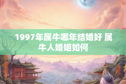 1997年属牛哪年结婚好 属牛人婚姻如何 1997年属牛哪年结婚好 属牛人婚姻如何