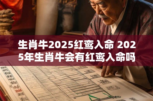 生肖牛2025红鸾入命 2025年生肖牛会有红鸾入命吗