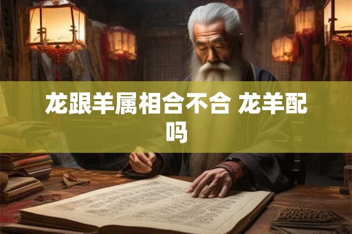龙跟羊属相合不合 龙羊配吗