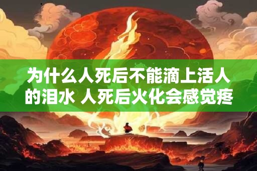 为什么人死后不能滴上活人的泪水 人死后火化会感觉疼吗