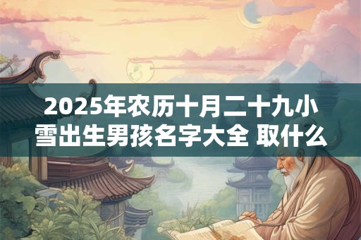2025年农历十月二十九小雪出生男孩名字大全 取什么名字最好