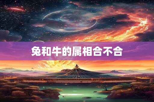 兔和牛的属相合不合