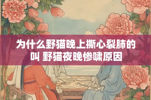 为什么野猫晚上撕心裂肺的叫 野猫夜晚惨啸原因
