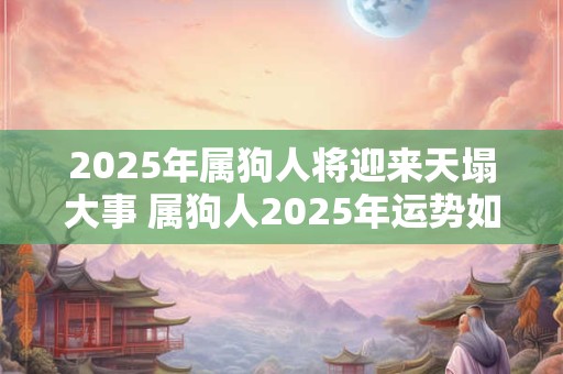 2025年属狗人将迎来天塌大事 属狗人2025年运势如何