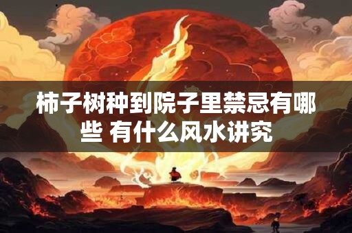 柿子树种到院子里禁忌有哪些 有什么风水讲究