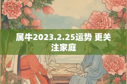 属牛2023.2.25运势 更关注家庭