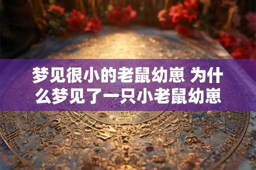 梦见很小的老鼠幼崽 为什么梦见了一只小老鼠幼崽