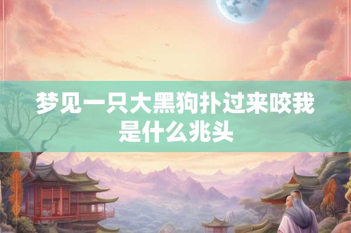 梦见一只大黑狗扑过来咬我是什么兆头