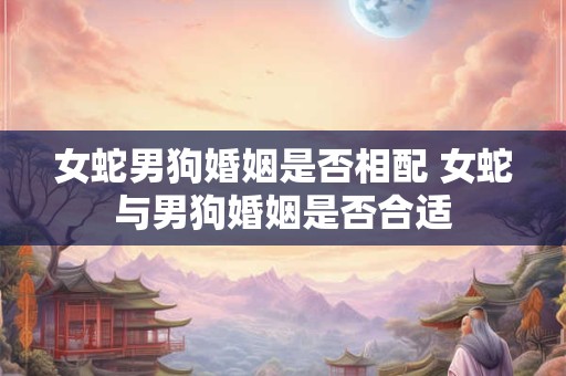 女蛇男狗婚姻是否相配 女蛇与男狗婚姻是否合适