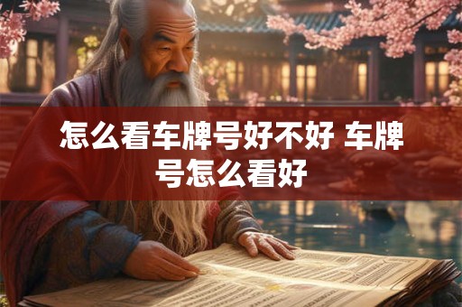 怎么看车牌号好不好 车牌号怎么看好