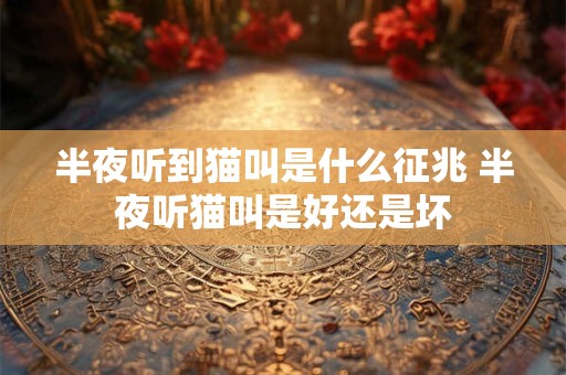 半夜听到猫叫是什么征兆 半夜听猫叫是好还是坏