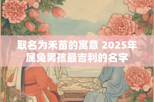 取名为禾苗的寓意 2025年属兔男孩最吉利的名字