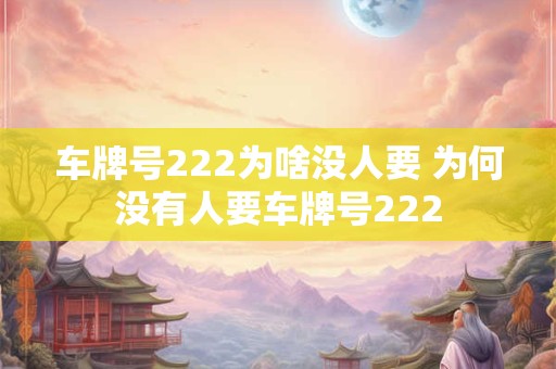 车牌号222为啥没人要 为何没有人要车牌号222
