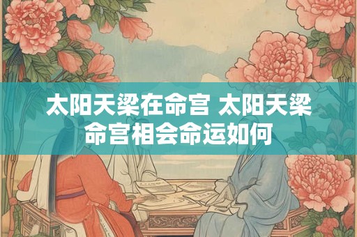 太阳天梁在命宫 太阳天梁命宫相会命运如何