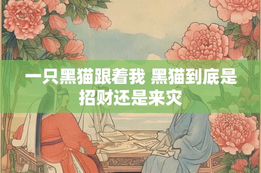 一只黑猫跟着我 黑猫到底是招财还是来灾