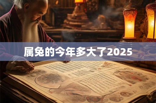属兔的今年多大了2025 属兔的今年多大了2025