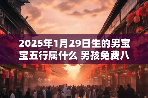 2025年1月29日生的男宝宝五行属什么 男孩免费八字起名