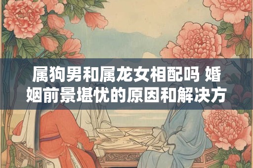 属狗男和属龙女相配吗 婚姻前景堪忧的原因和解决方法
